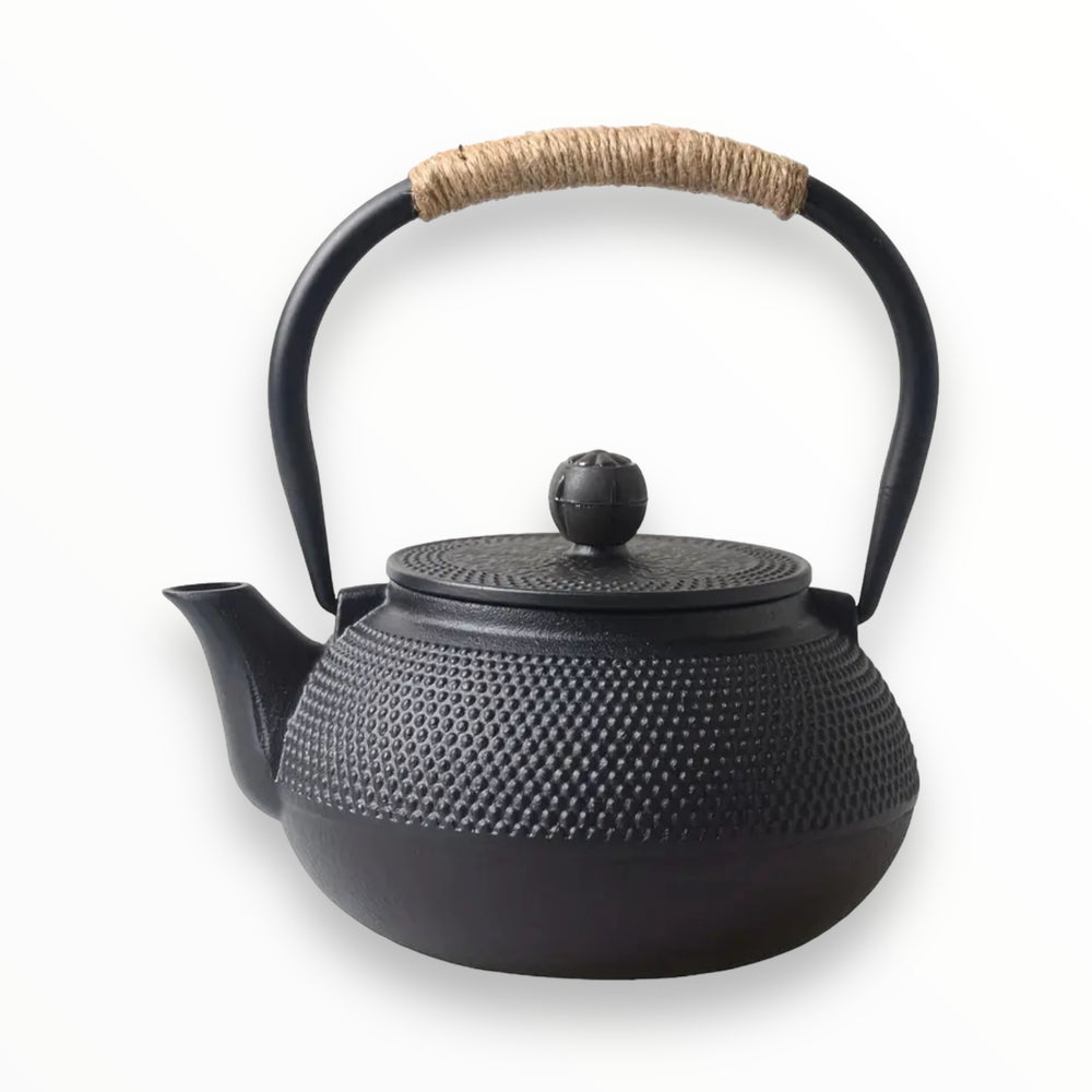 Japanese Cast Iron Teapot 